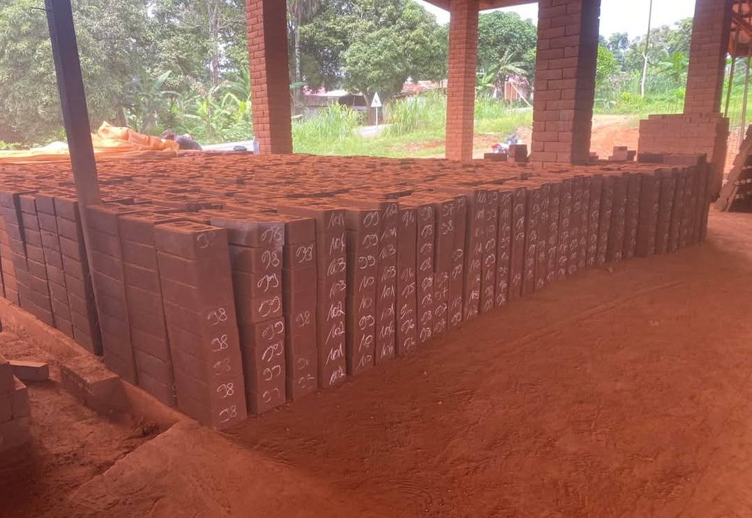 Finished natural earth-block wall